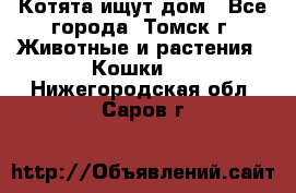 Котята ищут дом - Все города, Томск г. Животные и растения » Кошки   . Нижегородская обл.,Саров г.